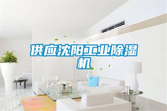 供應沈陽(yáng)工業(yè)除濕機