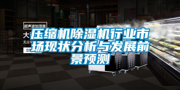 壓縮機除濕機行業(yè)市場(chǎng)現狀分析與發(fā)展前景預測