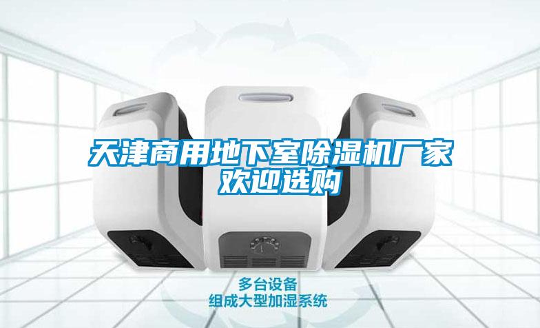 天津商用地下室除濕機廠(chǎng)家 歡迎選購