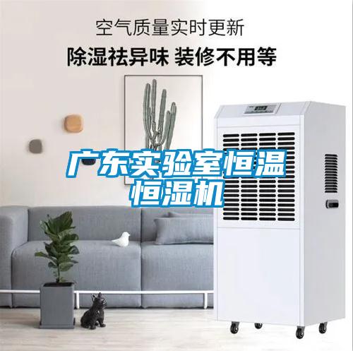 廣東實(shí)驗室恒溫恒濕機