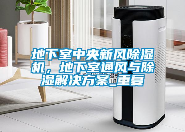 地下室中央新風(fēng)除濕機，地下室通風(fēng)與除濕解決方案_重復
