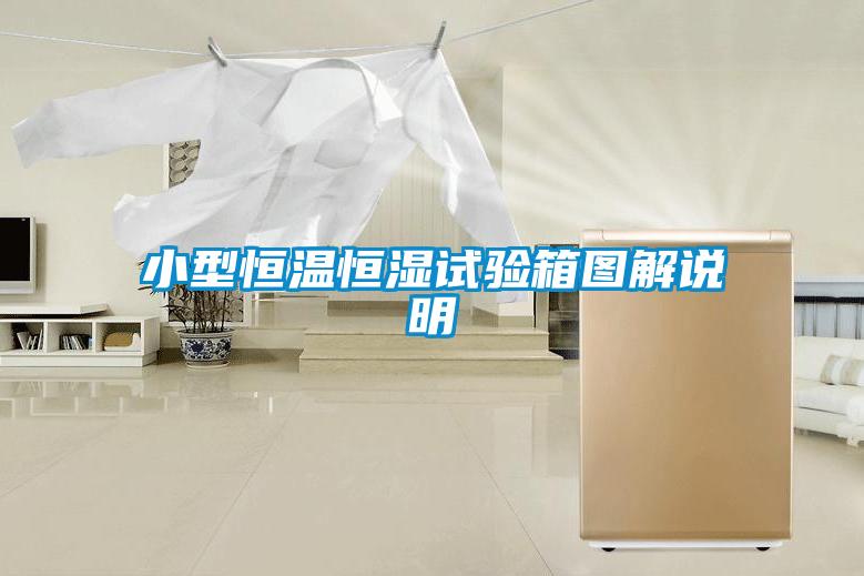小型恒溫恒濕試驗箱圖解說(shuō)明