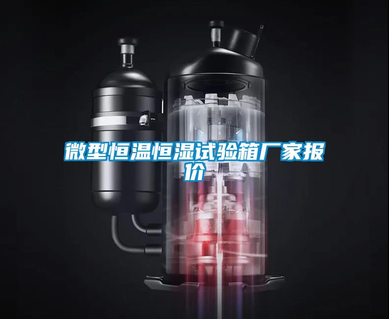 微型恒溫恒濕試驗箱廠(chǎng)家報價(jià)
