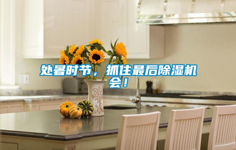 處暑時(shí)節，抓住最后除濕機會(huì )！