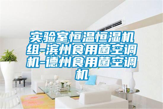 實(shí)驗室恒溫恒濕機組-濱州食用菌空調機-德州食用菌空調機