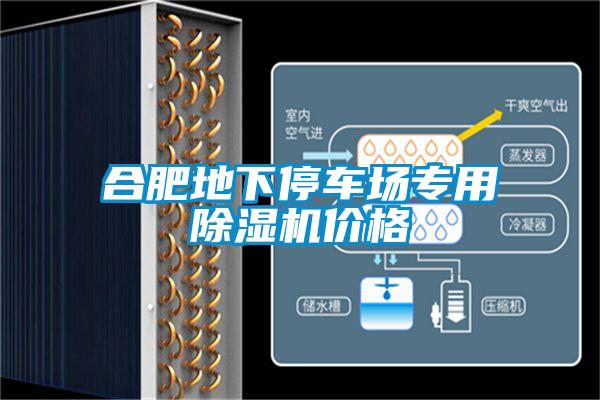 合肥地下停車(chē)場(chǎng)專(zhuān)用除濕機價(jià)格