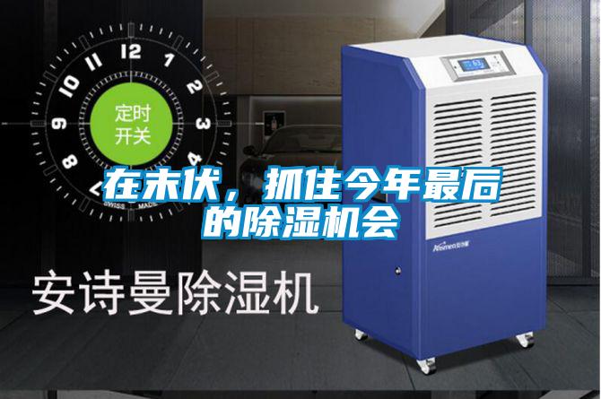 在末伏，抓住今年最后的除濕機會(huì )