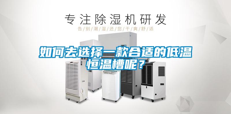 如何去選擇一款合適的低溫恒溫槽呢？