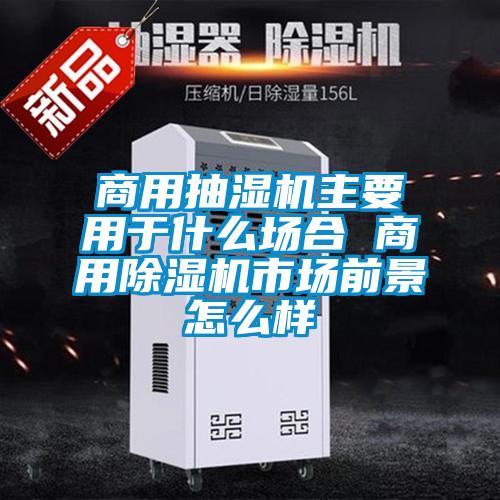 商用抽濕機主要用于什么場(chǎng)合 商用除濕機市場(chǎng)前景怎么樣