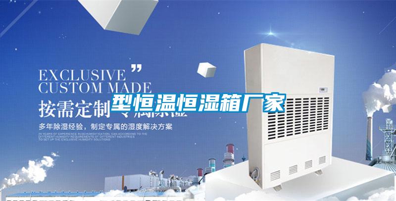 型恒溫恒濕箱廠(chǎng)家