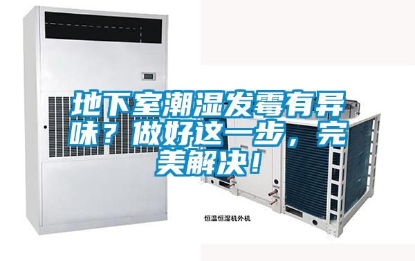 地下室潮濕發(fā)霉有異味？做好這一步，完美解決！