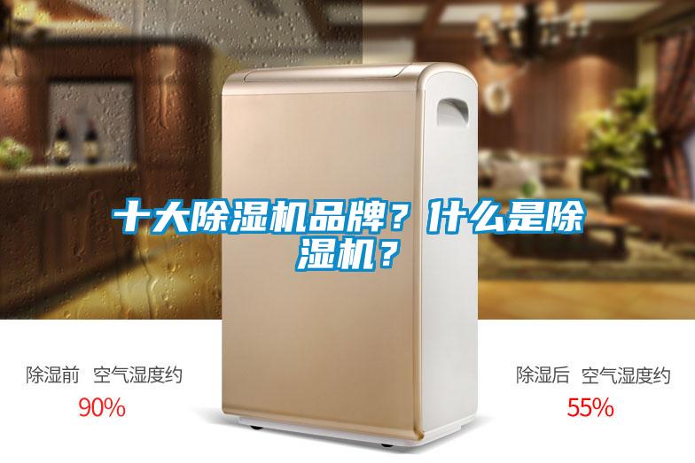 十大除濕機品牌？什么是除濕機？