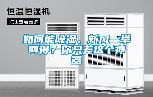 如何能除濕、新風(fēng)一舉兩得？你只差這個(gè)神器
