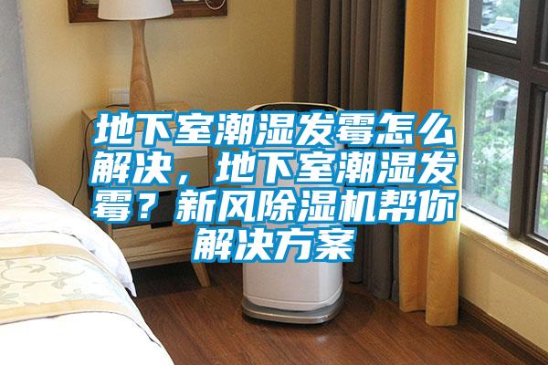 地下室潮濕發(fā)霉怎么解決，地下室潮濕發(fā)霉？新風(fēng)除濕機幫你解決方案