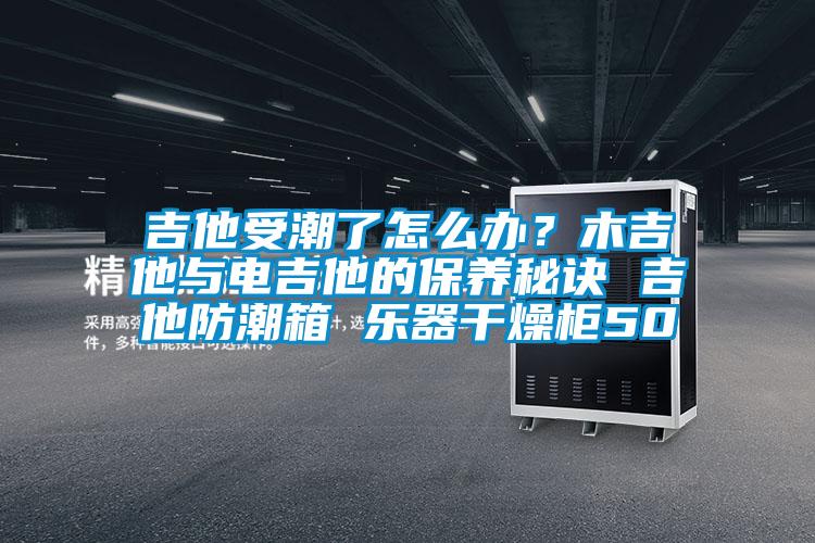 吉他受潮了怎么辦？木吉他與電吉他的保養秘訣 吉他防潮箱 樂(lè )器干燥柜50
