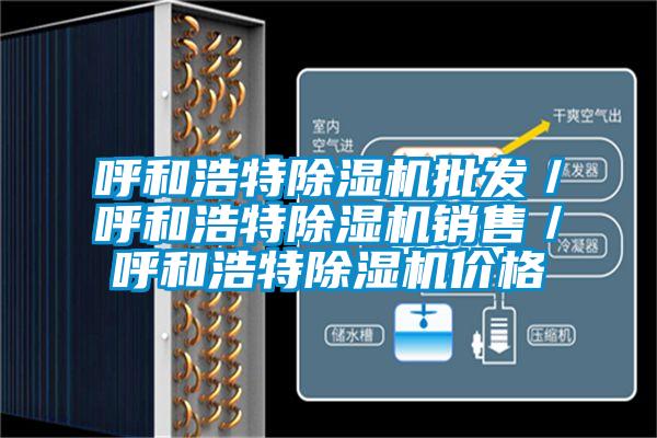 呼和浩特除濕機批發(fā)／呼和浩特除濕機銷(xiāo)售／呼和浩特除濕機價(jià)格