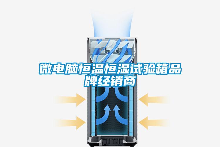 微電腦恒溫恒濕試驗箱品牌經(jīng)銷(xiāo)商