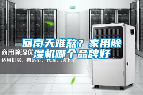 回南天難熬？家用除濕機哪個(gè)品牌好