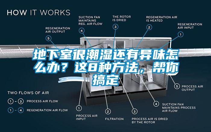 地下室很潮濕還有異味怎么辦？這8種方法，幫你搞定