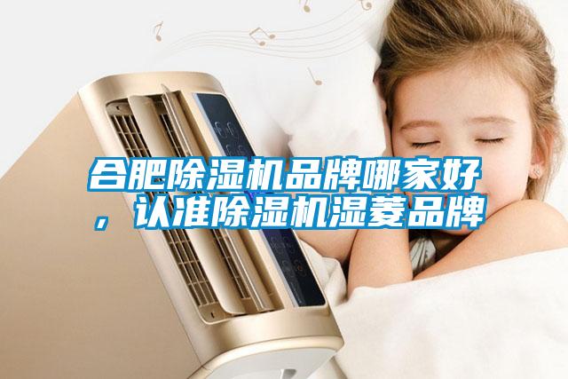 合肥除濕機品牌哪家好，認準除濕機濕菱品牌