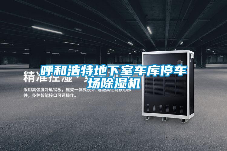 呼和浩特地下室車(chē)庫停車(chē)場(chǎng)除濕機
