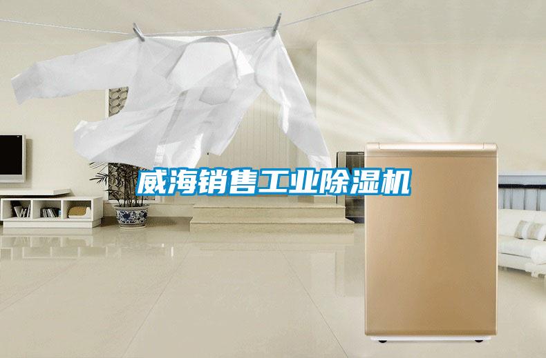 威海銷(xiāo)售工業(yè)除濕機