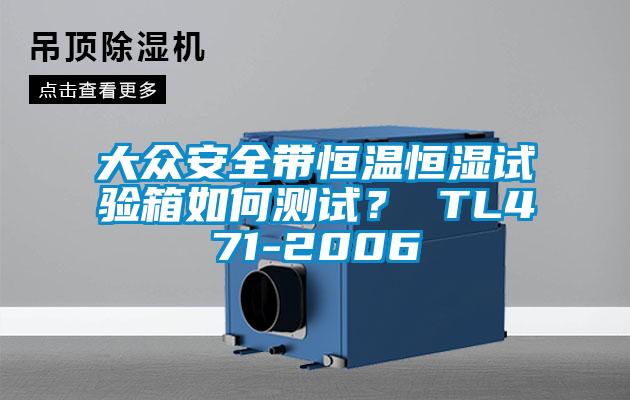 大眾安全帶恒溫恒濕試驗箱如何測試？ TL471-2006