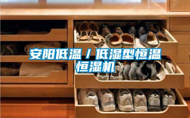 安陽(yáng)低溫／低濕型恒溫恒濕機