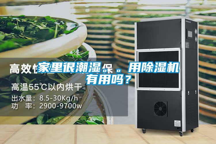 家里很潮濕。。用除濕機有用嗎？