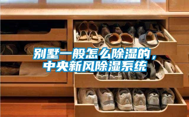 別墅一般怎么除濕的，中央新風(fēng)除濕系統