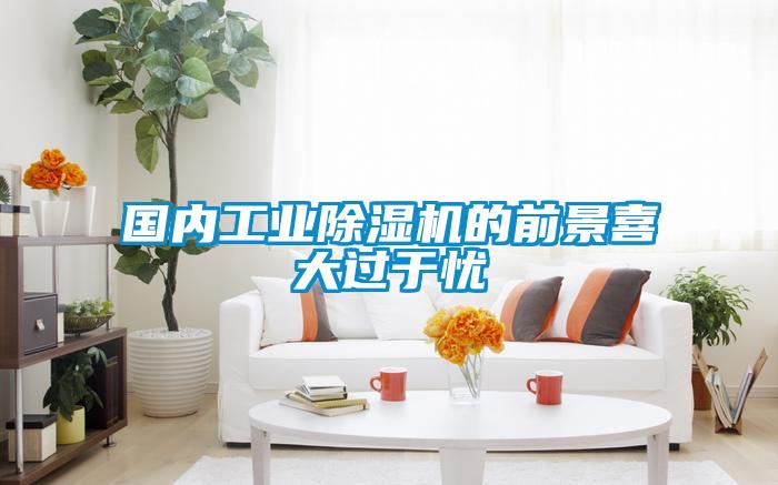 國內工業(yè)除濕機的前景喜大過(guò)于憂(yōu)