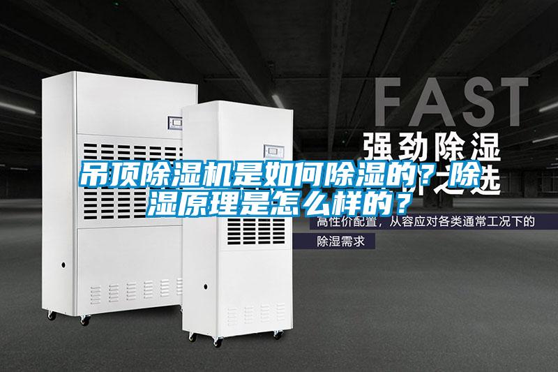 吊頂除濕機是如何除濕的？除濕原理是怎么樣的？
