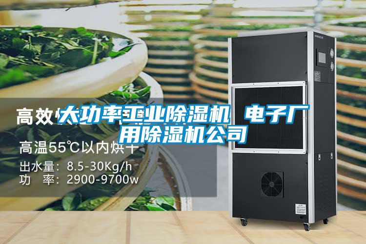 大功率工業(yè)除濕機 電子廠(chǎng)用除濕機公司