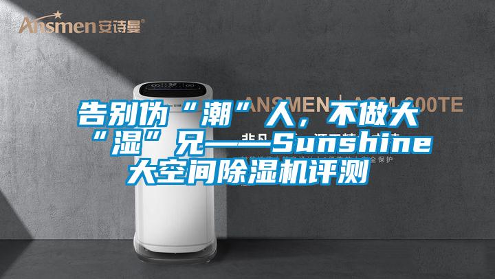 告別偽“潮”人，不做大“濕”兄——Sunshine大空間除濕機評測