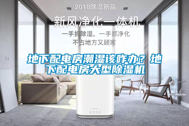 地下配電房潮濕該咋辦？地下配電房大型除濕機