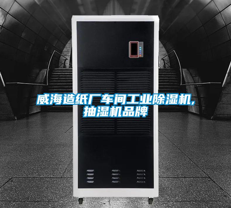 威海造紙廠(chǎng)車(chē)間工業(yè)除濕機,抽濕機品牌