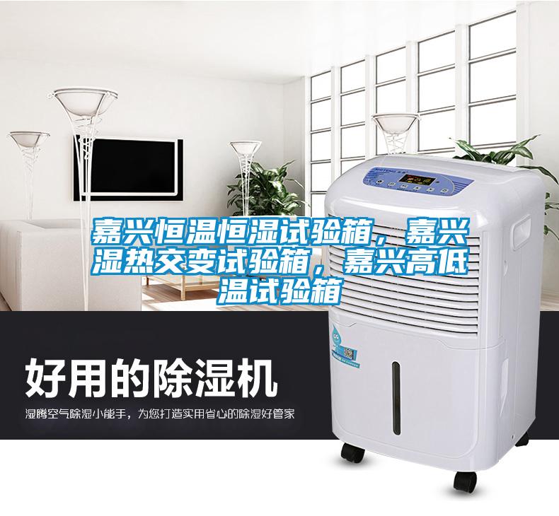 嘉興恒溫恒濕試驗箱，嘉興濕熱交變試驗箱，嘉興高低溫試驗箱