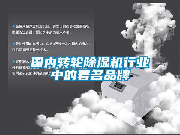 國內轉輪除濕機行業(yè)中的著(zhù)名品牌