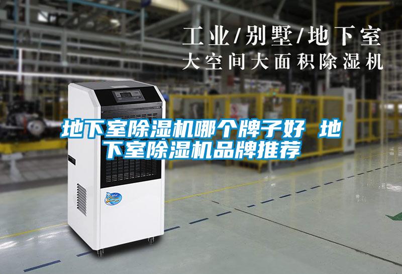 地下室除濕機哪個(gè)牌子好 地下室除濕機品牌推薦