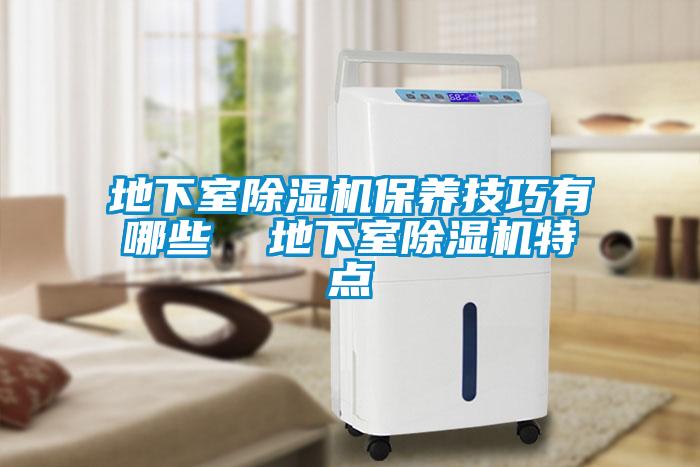 地下室除濕機保養技巧有哪些  地下室除濕機特點(diǎn)