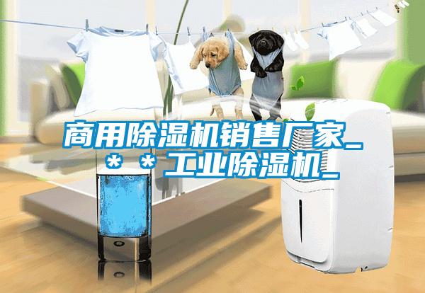 商用除濕機銷(xiāo)售廠(chǎng)家_＊＊工業(yè)除濕機_