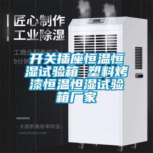 開(kāi)關(guān)插座恒溫恒濕試驗箱 塑料烤漆恒溫怛濕試驗箱廠(chǎng)家