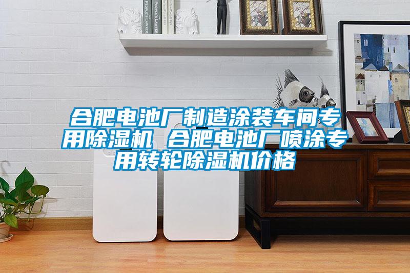 合肥電池廠(chǎng)制造涂裝車(chē)間專(zhuān)用除濕機 合肥電池廠(chǎng)噴涂專(zhuān)用轉輪除濕機價(jià)格