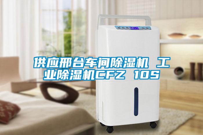供應邢臺車(chē)間除濕機 工業(yè)除濕機CFZ 10S