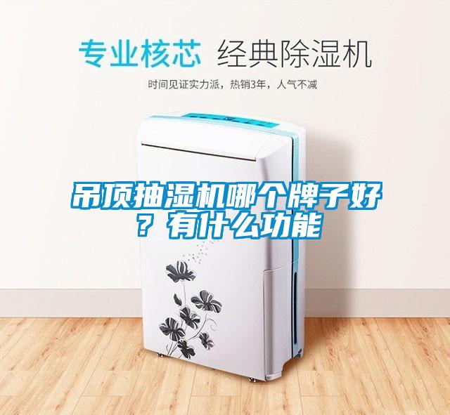 吊頂抽濕機哪個(gè)牌子好？有什么功能