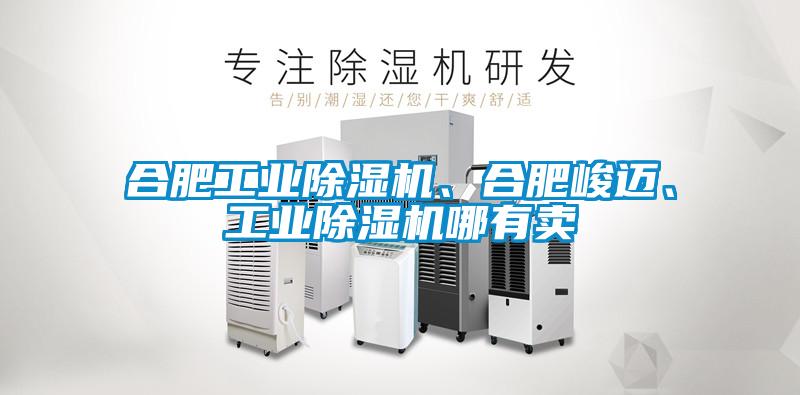 合肥工業(yè)除濕機、合肥峻邁、工業(yè)除濕機哪有賣(mài)