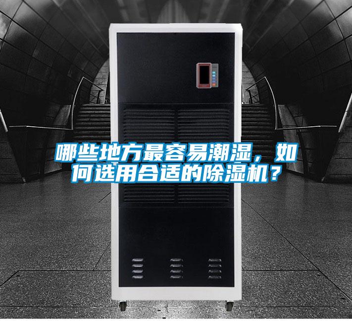哪些地方最容易潮濕，如何選用合適的除濕機？