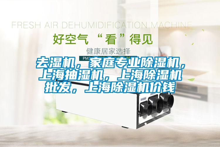 去濕機，家庭專(zhuān)業(yè)除濕機，上海抽濕機，上海除濕機批發(fā)，上海除濕機價(jià)錢(qián)