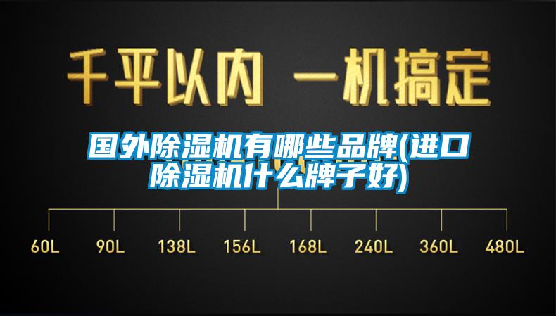 國外除濕機有哪些品牌(進(jìn)口除濕機什么牌子好)