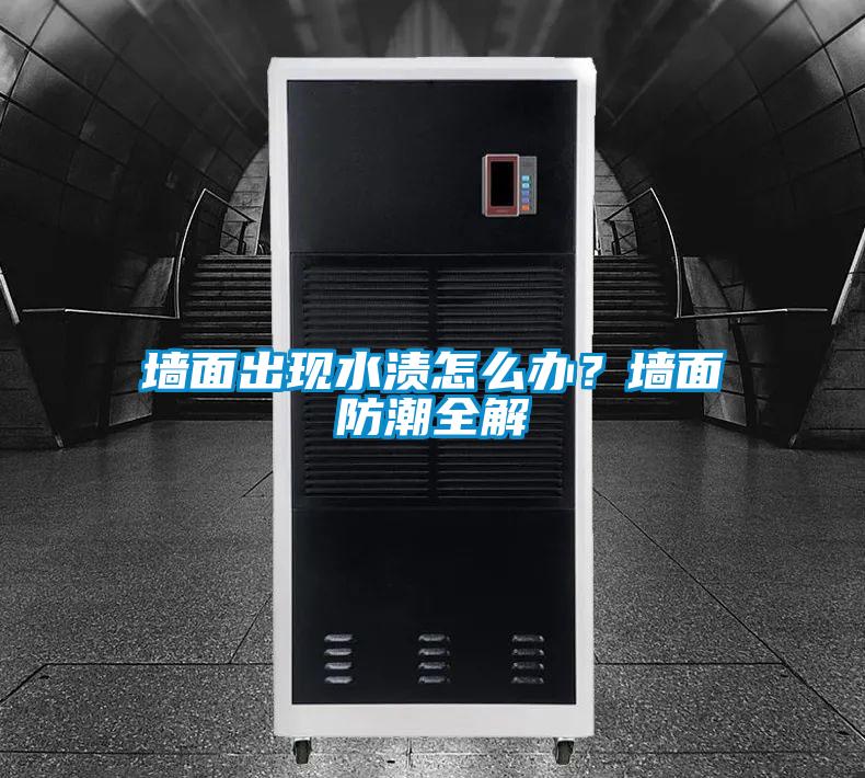 墻面出現水漬怎么辦？墻面防潮全解